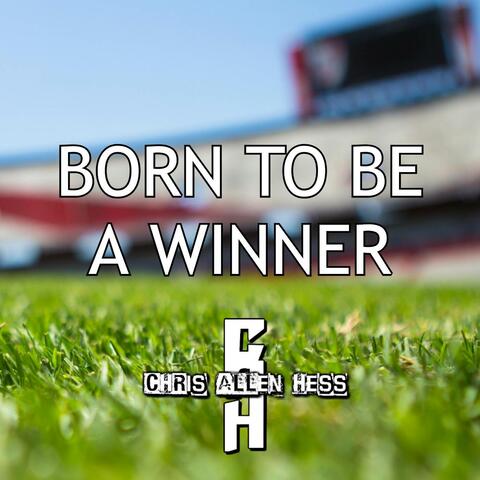 Born To Be a Winner album art