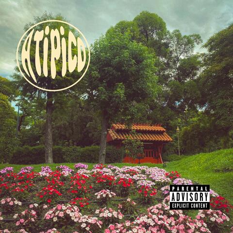 Jardín Japones album art
