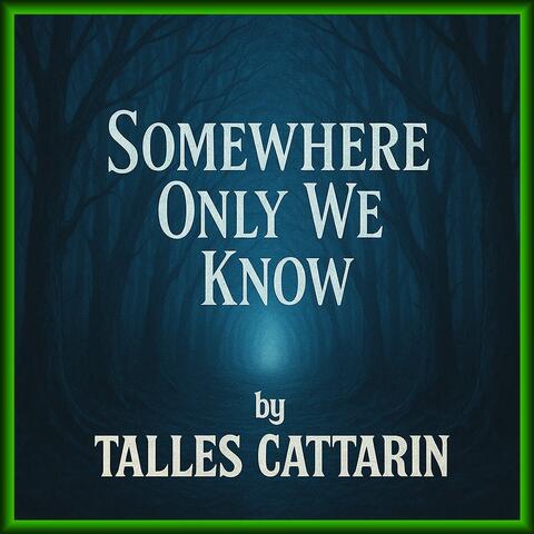 Somewhere Only We Know album art