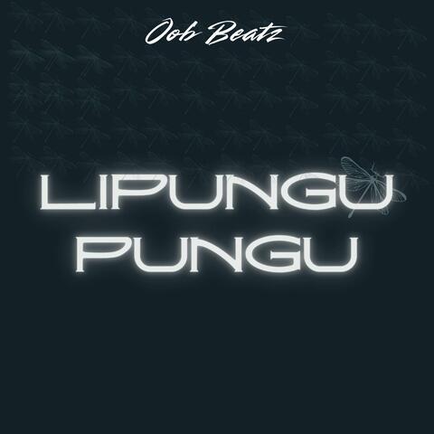 Lipungu Pungu album art