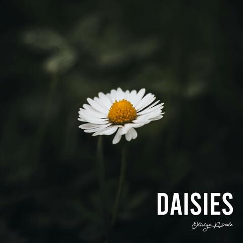 DAISIES album art