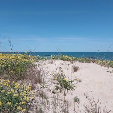 Easy Way to the Beach album art