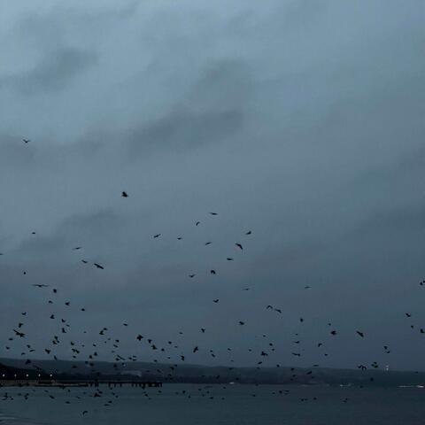 the confiteor album art