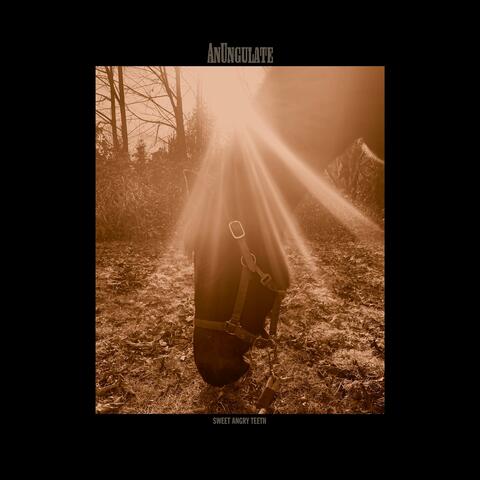 Sweet Angry Teeth album art