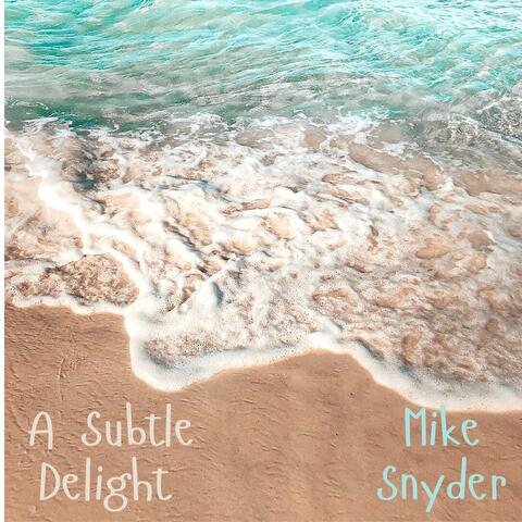A Subtle Delight album art