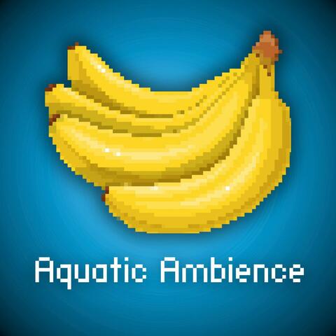Aquatic Ambience (from "Donkey Kong Country") album art