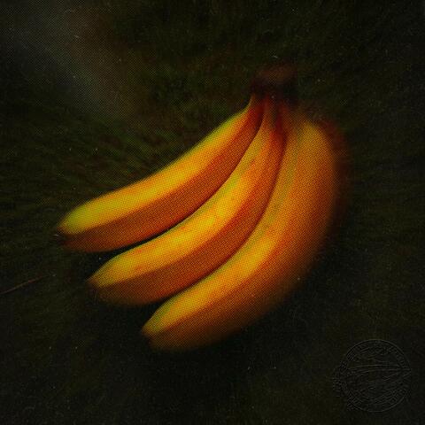 Donkey Kong-Fi album art