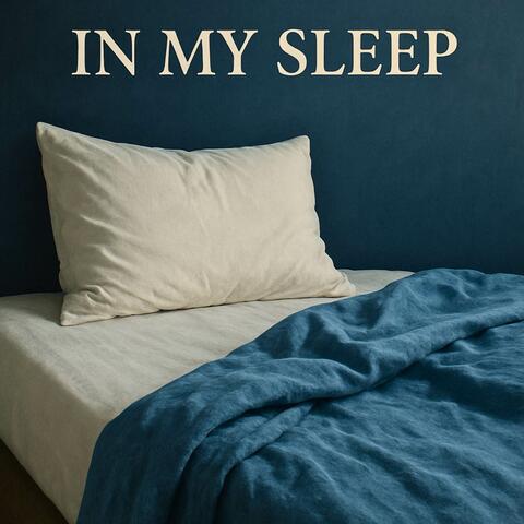 In My Sleep album art