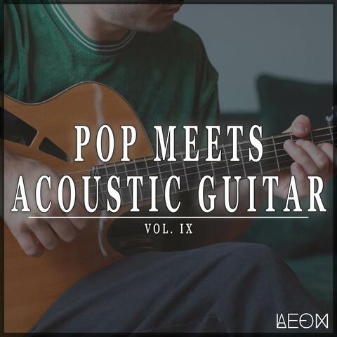 Pop Meets Acoustic Guitar, Vol. 9 album art