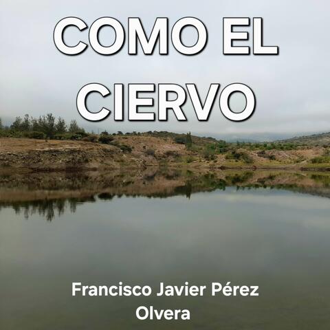 Como el Ciervo album art