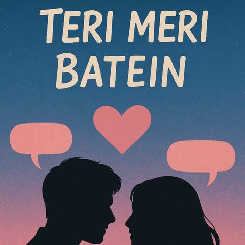Teri Meri Batein album art
