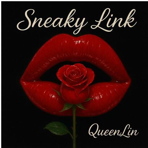 Sneaky Link album art