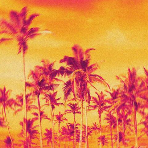 SUNSET album art