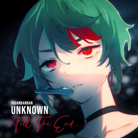 Unknown (Till The End...) album art