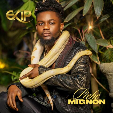 Péché Mignon album art