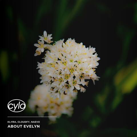 About Evelyn album art