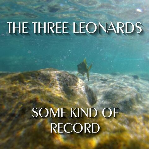 Some Kind Of Record album art