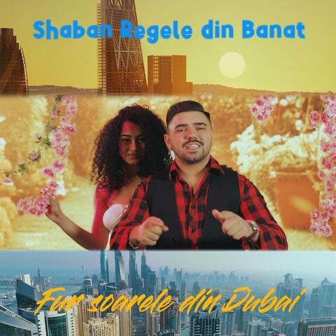Fur soarele din Dubai album art