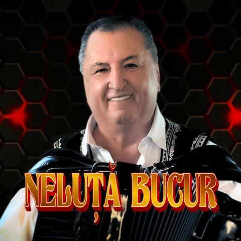Cantecul lui Radu Anghel album art