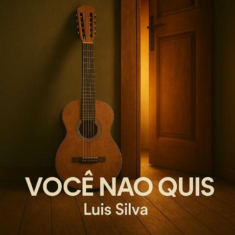 Você não quis album art