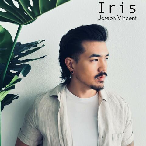 Iris album art