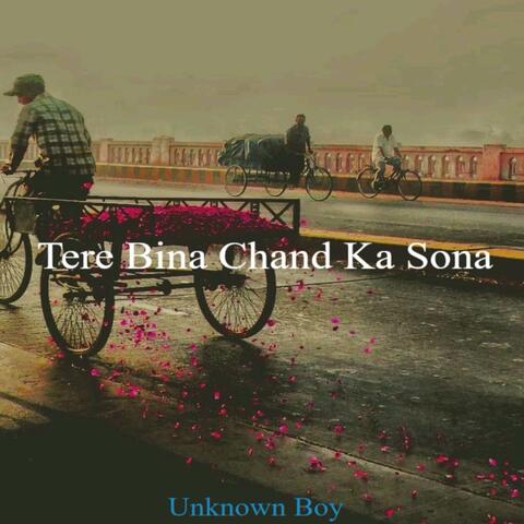 Tere Bina Chand Ka Sona album art