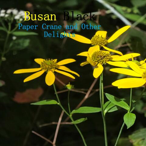 Paper Crane and Other Delights album art