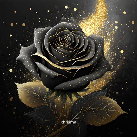 Schwarze Rose album art