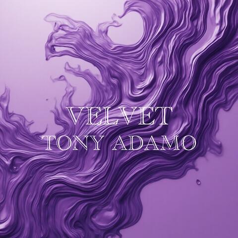 Velvet album art