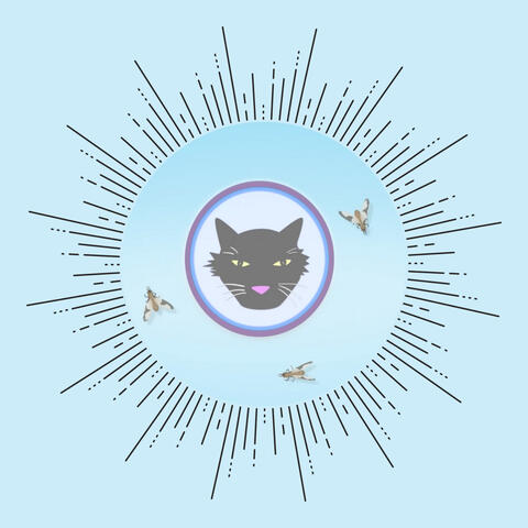 Bromsarna de brumma album art