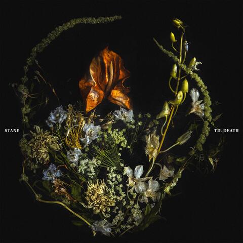Til Death album art