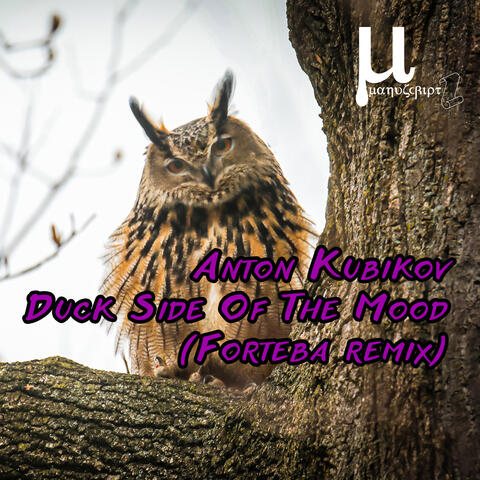 Duck Side Of The Mood (Forteba Remix) album art