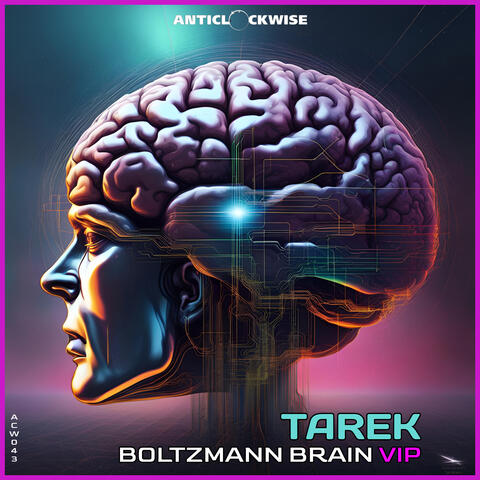 Boltzmann Brain (VIP) album art