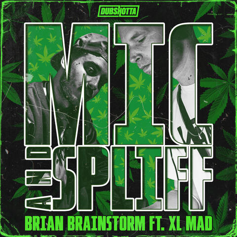 Mic And Spliff album art