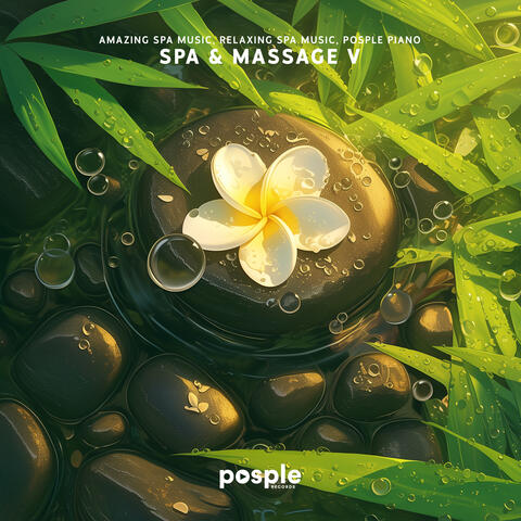Spa & Massage V album art