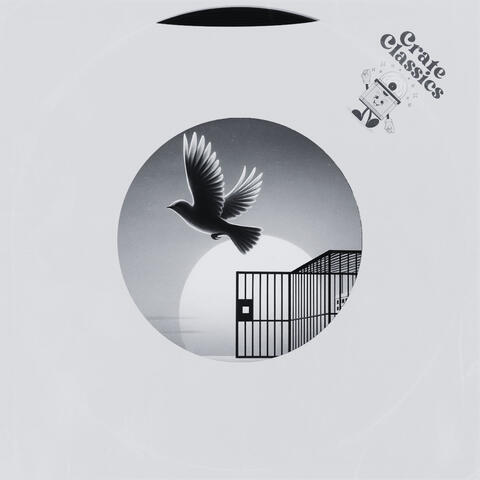 Born to be Free (Ozone Remix) album art