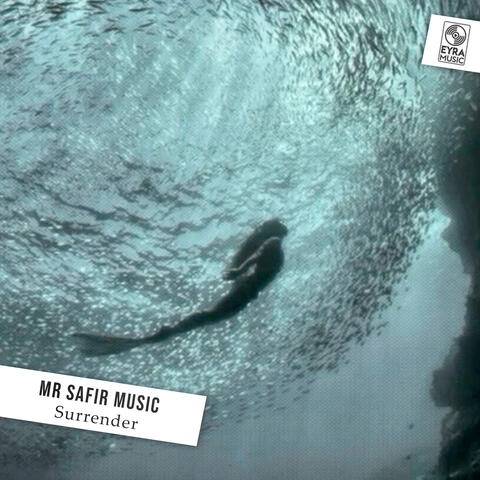 Surrender album art
