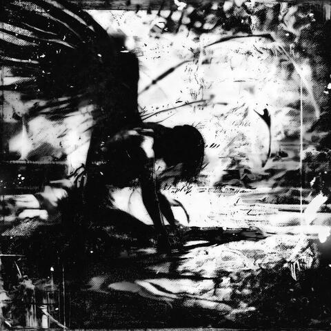 VOIDGRACE album art