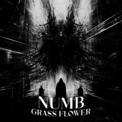 numb album art