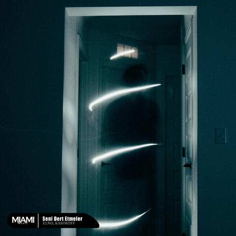 Seni Dert Etmeler album art
