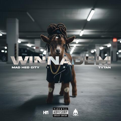 Winnadem album art