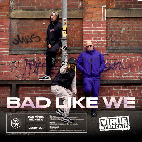 Bad Like We album art