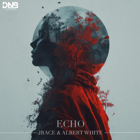 Echo album art