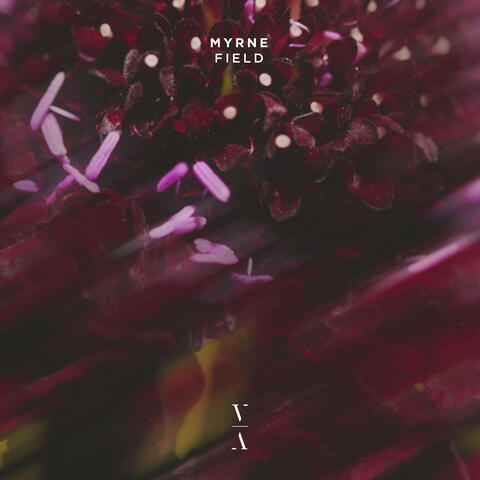 Field album art