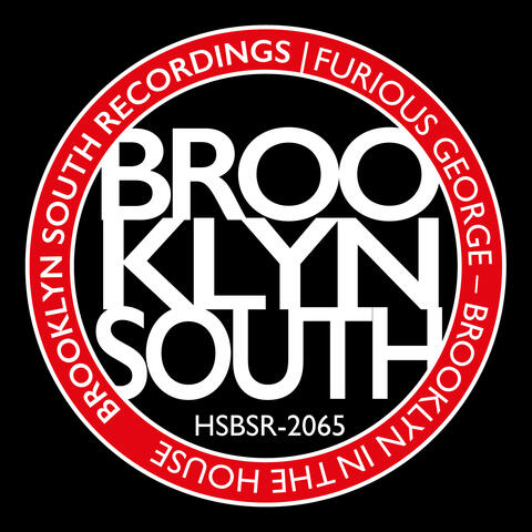 Brooklyn In The House album art