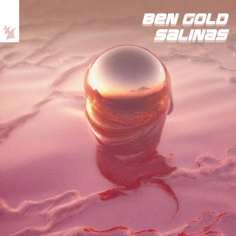 Salinas album art