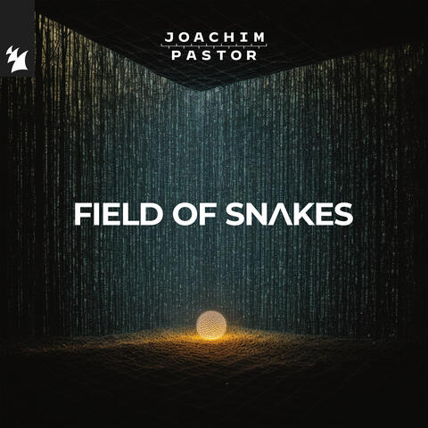 FIELD OF SNAKES album art