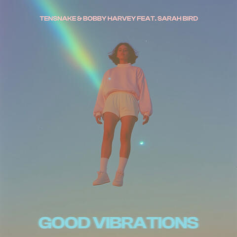 Good Vibrations album art