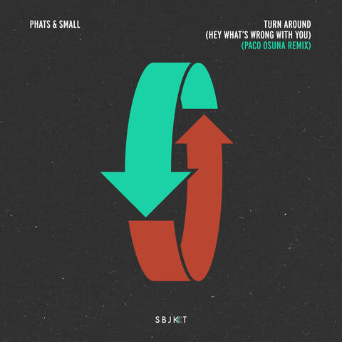 Turn Around (Hey What's Wrong With You) album art
