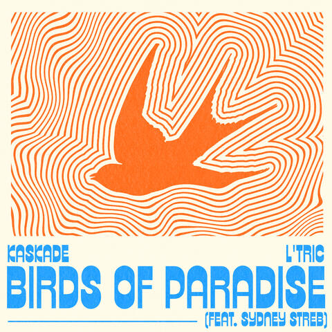 Birds of Paradise album art